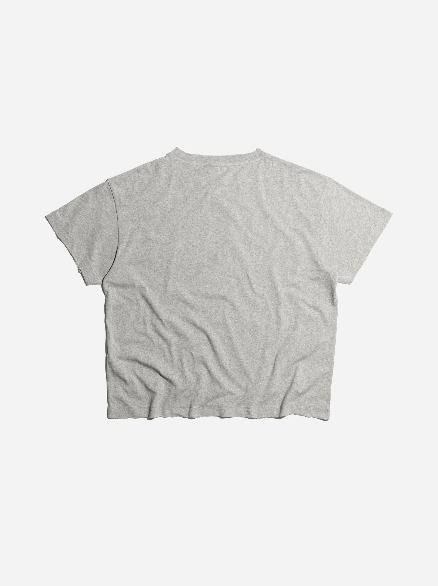COAT OF ARMS T-SHIRT - GREY